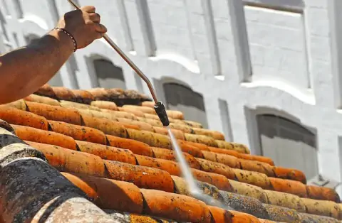 Démoussage de toiture à Cambes